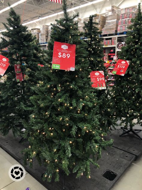 Walmart Christmas tree pre-lit holiday decorating. Follow my shop @FaithPhoebe on the @shop.LTK app to shop this post and get my exclusive app-only content! #liketkit #LTKHoliday #LTKSeasonal #LTKhome @shop.ltk https://liketk.it/3S4De Buying Christmas Tree, Walmart Christmas Tree, Walmart Christmas Decor, Walmart Christmas Trees, Christmas Tree For Sale, Christmas Tree Shopping, Christmas Trees For Sale, Walmart Christmas, Christmas Tree Store