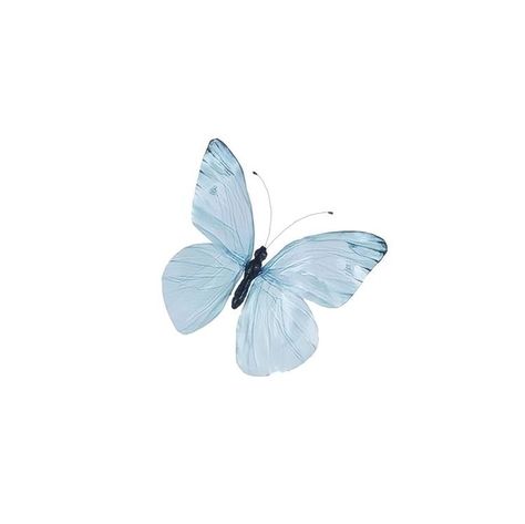 Blue Minimalist, Minimalist Icons, Iphone Icon, Blue Butterfly, We Heart It, Blue