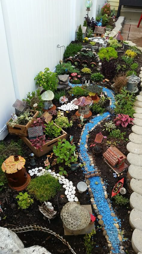 Fairy Garden Pots, Indoor Fairy Gardens, Fairy Garden Plants, نباتات م�نزلية, Fairies Garden, Fairy Garden Designs, Fairy Gnome, Fairy Garden Crafts, Faeries Gardens