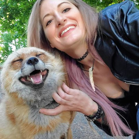 Someone Has Recorded How Foxes Sound When Theyre Enjoying Belly Rubs And Its Too Cute  Ever since the viral video of the song The Fox (What Does the Fox Say?) was released in 2013 many of us realized that we really do not know what noises foxes make to communicate. Thanks to a rescue group called SaveAFox which lends a helping hand to abandoned pet foxes and those who were retrieved from fur farms we now know the answer. Spoiler alert: its not like what they say in the song. However its exactly Women With Animals, Cute Foxes, What Does The Fox Say, Animal Sounds, Pet Fox, Social Media Images, Helping Hand, Helping Hands, Cute Fox