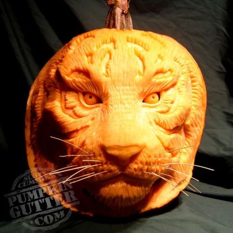 Tiger pumpkin 3d Pumpkin Carving, Pumpkin Sculpting, Awesome Pumpkin Carvings, 3d Pumpkin, Pumkin Carving, Amazing Pumpkin Carving, Easy Pumpkin Carving, Pumpkin Carving Designs, Pumpkin Skull