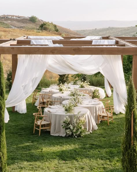 teresa ann photo • socal light & airy photographer (@teresannphoto_) • Instagram photos and videos Willow Tree Wedding, Baby Blue Weddings, Phuket Wedding, Dream Wedding Decorations, Lake Como Wedding, Organic Wedding, Table Set Up, Mini Wedding, Botanical Wedding