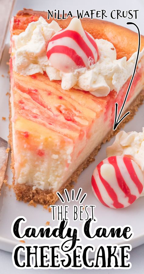 The best candy cane swirl chocolate cheesecake - This is the perfect recipe for the holidays. Made with white chocolate candy cane swirl Hershey's Kisses and cream cheese, then baked, this is the perfect Christmas recipe! #dessertrecipes #dessert #sweettooth #christmas #holidays via @feelslikehome Candy Cane Cheesecake, Chocolate Swirl Cheesecake, Candy Cane Dessert, Perfect Christmas Dessert, Peppermint Cheesecake, Swirl Cheesecake, White Chocolate Candy, Fun Dessert, Hershey's Kisses