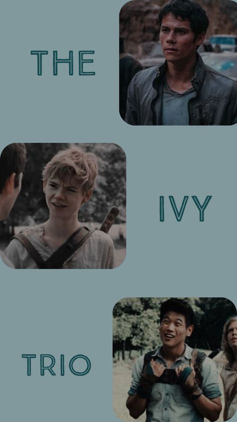 Ivy Trio Wallpaper, The Ivy Trio, Tmr Aesthetic, Ivy Trio, Trio Wallpaper, Maze Runner Movie, Golden Trio, Brodie Sangster, The Ivy