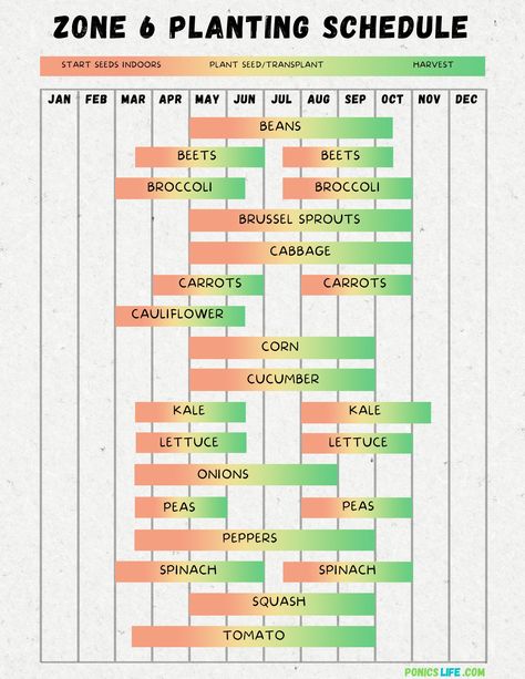 Zone 6 Planting Schedule and Calendar: A Quick Guide Zone 6 Planting Schedule, Vegetable Planting Schedule, Zone 6 Planting, Gardening In Colorado, Zone 6 Plants, Growing Calendar, Vegetable Planting Guide, Planting Schedule, Plant Hardiness Zone Map