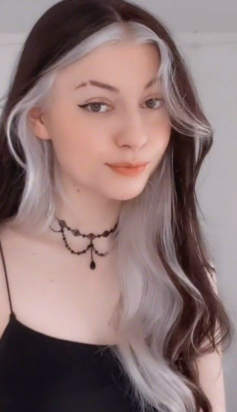 Dyed Hair White And Black, Brown Hair With A White Streak, Rachbirt Hair, Color For White Hair For Women, Brown And White Hair Color, White And Dark Brown Hair, Dark Hair With White Underneath, Brunette And White Hair, Half Silver Half Black Hair