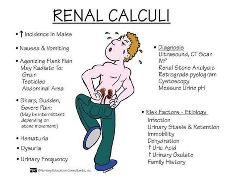 Kidney stones The College Of New Jersey, Renal Calculi, Emt Study, Physician Assistant School, Medical Terminology Study, Medical Mnemonics, Nursing School Essential, Nursing Study Guide, Nursing School Motivation