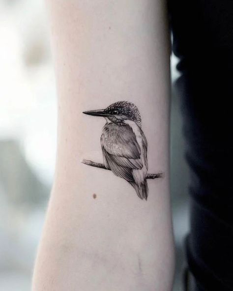 Realistic Bird Tattoo, Kingfisher Tattoo, Bird Tattoo Sleeves, Hummingbird Tattoos, Kingfisher Art, Tiny Bird Tattoos, Our Mindful Life, Tattoo Over Scar, Blade Tattoo