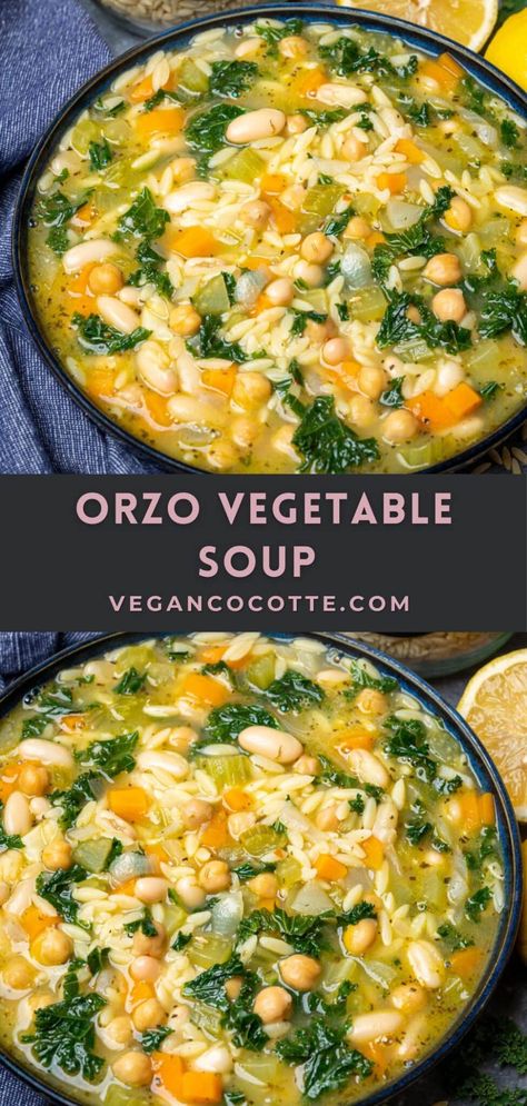 Healthy Vegetable Soups, Homemade Vegetarian Soup, Soup Recipes Orzo, Vegetarian Soup Ideas, Butternut Squash Orzo Soup, Best Veggie Soup Recipes, Vegitaren Soup Recipes Easy, Veggie Crockpot Soup, Orzo Bean Soup