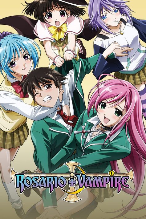 Rosario Vampire Moka, Mizore Shirayuki, Vampire Manga, Rosario Vampire Anime, Rosario Vampire, Film Anime, Vampire Girls, Anime Poster, Vampire Knight