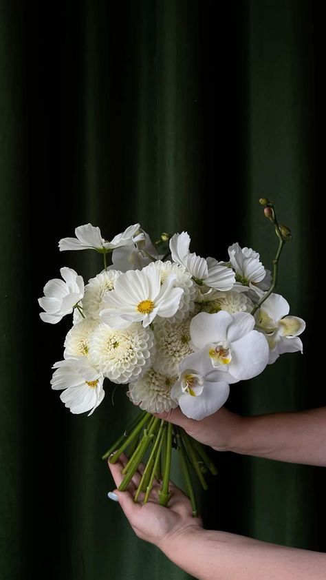 White Dahlia Bouquet, Dahlia Wedding Bouquets, White Orchid Bouquet, Orchid Bouquet Wedding, Modern Bridal Bouquets, Simple Wedding Bouquets, Dahlias Wedding, Cascading Bridal Bouquets, Dahlia Bouquet