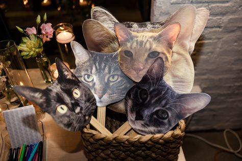 Cat mask props for photo booth at Walden spring wedding reception Cat Of Honor Wedding, Cat In Wedding Ceremony, Cat Theme Wedding Ideas, Cat Wedding Decorations, Ways To Incorporate Cats In Wedding, Incorporate Cat In Wedding, Cat Wedding Favors, Wedding With Cats, Wedding Pet Ideas