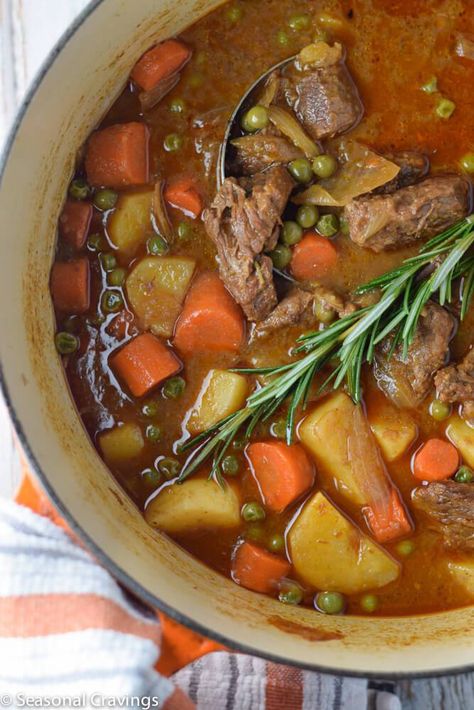 Apple Cider Beef Stew Beef Stew Gluten Free, Apple Cider Beef Stew, Gluten Free Beef Stew, Gluten Free Instant Pot, Carrots And Potatoes, Ginger Snap Cookies, Beef Stew Recipe, Stew Recipe, Beef Stew