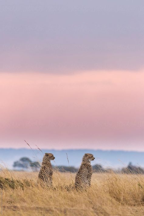 Photography Portfolio Layout, Milky Way Photography, Photography Ideas At Home, Maasai Mara, Infrared Photography, Golden Hour Photography, Indoor Photography, Multiple Exposure, Exposure Photography