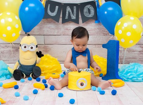 minions smash cake Minions Smash Cake, One In A Minion First Birthday, Costumes Minion, Minions Birthday Party Decorations, Minion Party Theme, Cake Minion, Minions Birthday Theme, Minion Pumpkin, Minions Birthday