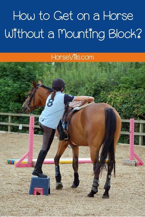 Want to know how to get on a horse without a mounting block? Read this expert guide and with enough practice and creativity, you'll definitely master it! Horse Mounting Block, Cat Behavior Chart, Mounting A Horse, Cat Behavior Facts, Cat Behavior Problems, Horseback Riding Tips, Horse Behavior, Behavior Chart, Cat Ideas