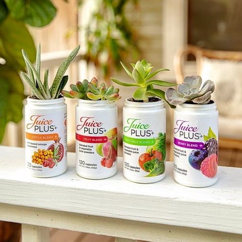 Simon Bowler on Instagram: “As it’s #NationalIndoorPlantWeek we couldn’t let it pass by without a celebration as we’re all about plants 🌱..yes, Plant Based Nutrition!…” Juice Plus Capsules, About Plants, Types Of Fruit, Vegetable Nutrition, Ancient Grains, Juice Plus, Plant Based Nutrition, Love Eat, Succulents Diy