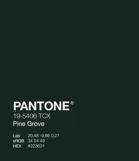 Green Silver Color Palette, Pantone Aesthetic Color Palettes, Dark Green Pantone, Dark Brown Pantone, Pantone Green Shades, Phtalo Green, Senior Merch, Winter Home Screen, Pantone Color Book