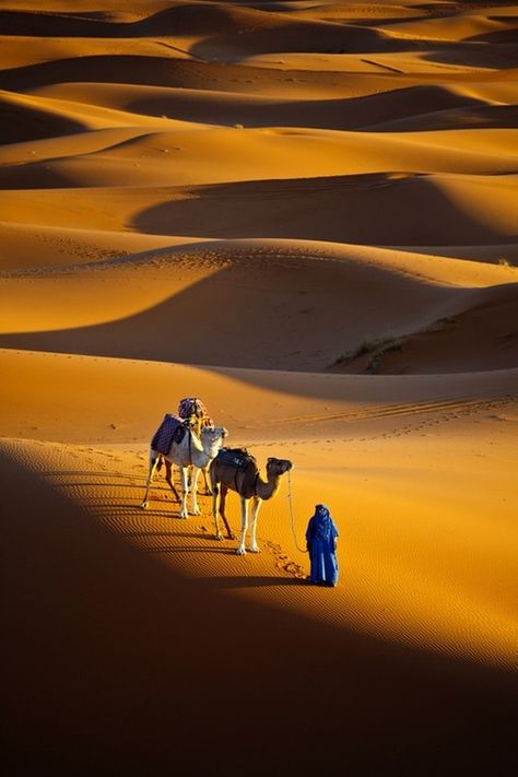 Sahara Desert Morocco, Desert Sahara, Desert Life, Sahara Desert, In The Desert, Places Around The World, The Desert, Wonderful Places, Marrakech