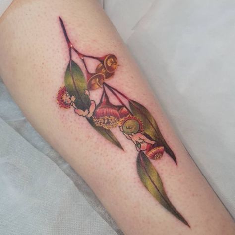 May Gibbs Tattoo, Gumnut Babies Tattoo, Gumnut Tattoo, Australian Botanical Tattoo, Australia Tattoo, Australian Tattoo, Plant Tattoo, Botanical Tattoo, Fairy Tattoo