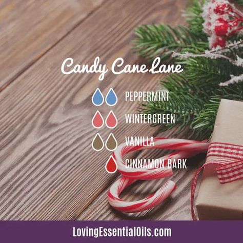 Wintergreen essential oil emotional benefits by Loving Essential Oils | Candy Cane blend with peppermint, cinnamon and vanilla Cassia Essential Oil, Christmas Diffuser Blends, Wintergreen Essential Oil, Essential Oil Diffuser Blends Recipes, Yl Essential Oils, Oil Diffuser Recipes, Essential Oil Diffuser Recipes, Essential Oil Mixes, Essential Oil Blends Recipes