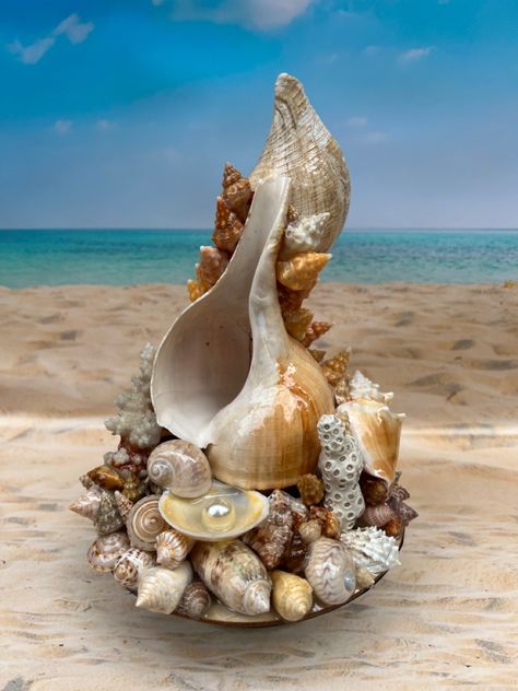 Conch Shell Crafts, Seashell Sculpture, Seashell Ideas, Whelk Shell, Planter Holder, Sea Shells Diy, Shell Sculpture, Shell Display, Seashell Projects