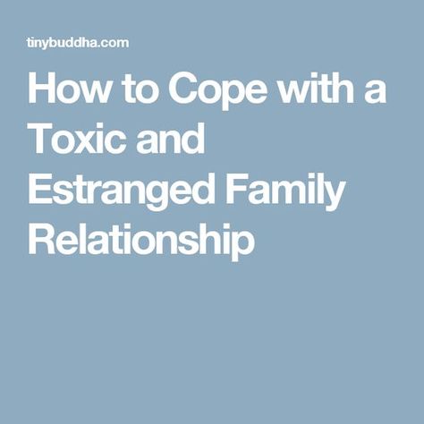 Estranged Family, Family Estrangement, Survivor Quotes, Family Quotes Funny, Toxic Parents, Family Conflict, Toxic Family, Dysfunctional Family, Bad Relationship