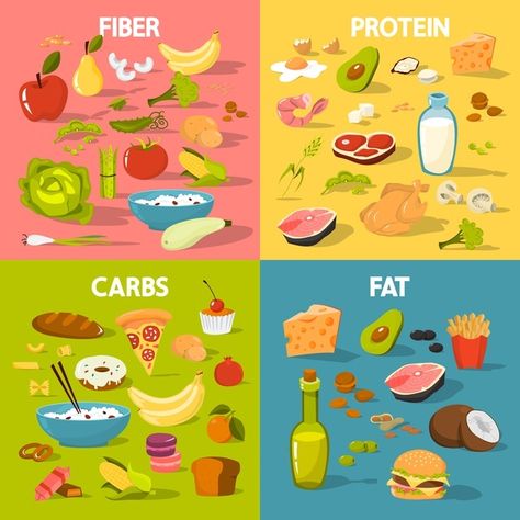 Food groups set. protein and fiber food | Premium Vector #Freepik #vector #infographic #food #green #fish Cartoon Food, Food Groups, Food Facts, Vector Illustration