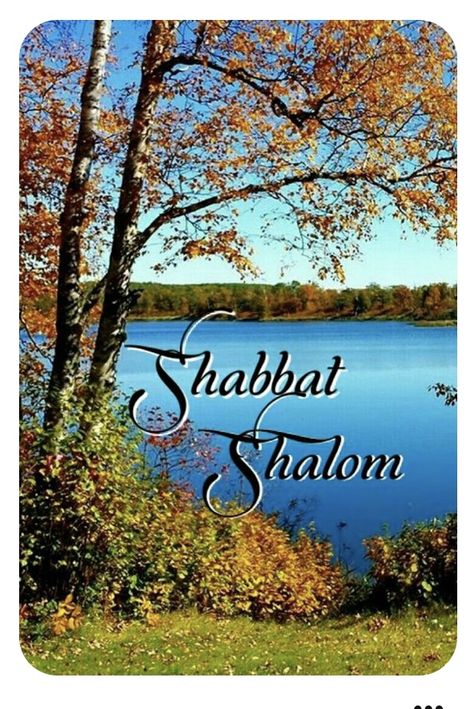 Bon Sabbat, Blessed Sunday Morning, Kindness Lessons, Shabbat Shalom Images, Messianic Jewish, Happy Sabbath, Blessed Sunday, Tribe Of Judah, Shabbat Shalom