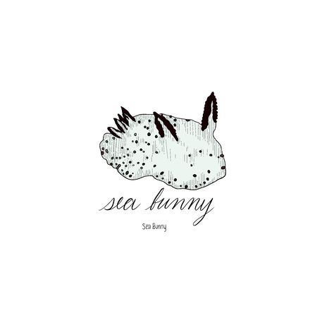 Sea bunny sea slug drawn in procreate with hand written cursive and print labeling. Find this illustration and others like it on my redbubble as stickers, prints, and much more. Follow my instagram (linked in bio) for first looks. Sea Bunny Tattoo, Sea Bunny Drawing, Sea Slug Tattoo, Bunny Sea Slug, Sea Sheep, Sea Bunny, Branch Drawing, Bunny Tattoos, First Looks