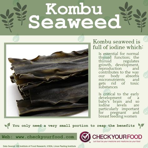 The health benefits of kombu seaweed - Check Your Food Seaweed Benefits, Kombu Seaweed, Edible Seaweed, Cooking Grains, Alkaline Diet Recipes, Seafood Diet, Asian Noodle Recipes, Sea Vegetables, Healthy Benefits