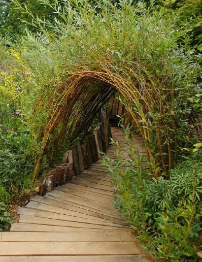 Desirable & Nice Garden Tunnel Design\Ideas Garden Tunnel Walkways, Plant Tunnel, Bamboo Tunnel, Willow Tunnel, Tunnel Garden, Garden Tunnel, Bamboo Arch, Willow Garden, Living Willow