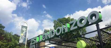 ZSL London Zoo | London, England Attractions - Lonely Planet England Attractions, London Attractions, Regents Park, London Zoo, North London, Lonely Planet, Emphasis, London England, Old Things