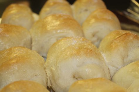 Kolache Recipe Czech, Kolache Recipe, Bread Maker Recipes, Bread Machine Recipes, Bread Maker, Piece Of Bread, Sweet Roll, Everything Bagel, Cream Cheese Filling