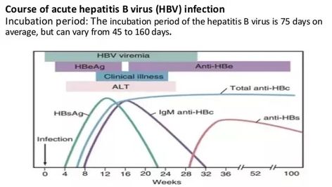 Hep b abs Active : HB sAg , anti HBC, HBV DNA+             HBeAg +/-             Anti HBs - Past : Anti HBC, anti HBs +          Anti HBsAg, HBeAg , HBV DNA -  Immunised: ONLY anti HBsAg + Hep B, Medical