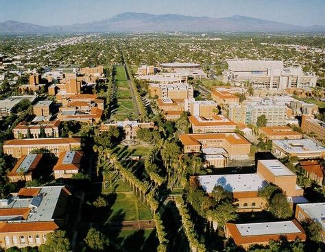 University of Arizona U Of Arizona, University Of Arizona Tucson, University Of Arizona Campus, Parenting Style, Parenting Plan, The University Of Arizona, State Of Arizona, College Campus, University Of Arizona