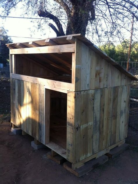 Do you want to build a duck house or coop for your new ducks? Here are 37 of the best free DIY duck house plans we've collected from all over the net. House From Pallets, Diy Duck House, Duck House Plans, Duck Houses, Goose House, Duck Stuff, Duck Farm, Chicken Brooder, Backyard Ducks