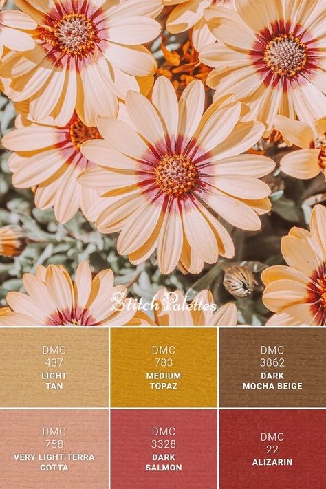 Dmc Yellow Palette, Floral Color Combinations, Yellow Ocher Color Palette, Flower Embroidery Color Palette, Golden Rod Color Palette, Salmon Color Combinations, Dark And Light Color Combinations, Tan Color Combinations, Stitch Palette Dmc