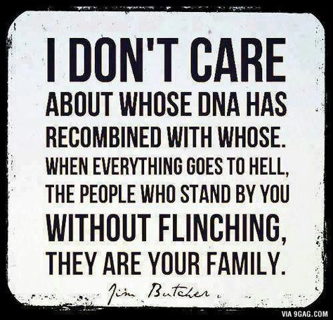 Family is not about ''Blood'' , it's about who you have learned to love and trust. Harry Dresden, Jim Butcher, Family Description, Life Quotes Love, Everything Goes, Stand By You, Introverted, Laura Lee, Quotable Quotes