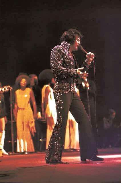 Elvis on April 14, 1972 in Greensboro, NC Black Elvis, Elvis Presley Concerts, Elvis Jumpsuits, King Elvis Presley, Elvis Presley Music, Blue Fireworks, Elvis In Concert, Elvis Presley Images, Elvis Movies