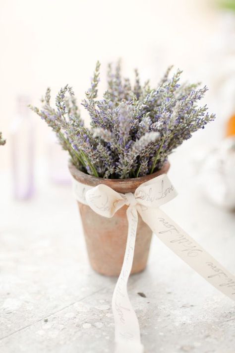 beautiful lavender wedding inspiration wedding favors Lavender Centerpieces, Lavender Wedding Bouquet, French Wedding Style, Dreamy Whites, Wedding Themes Fall, 강아지 그림, Lavender Farm, Lovely Lavender, Lavender Wedding