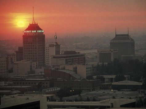 Fresno County, San Joaquin Valley, Humans And Animals, Urban Tree, Fresno California, Grand Central Station, Central Valley, Urban Environment, American Cities