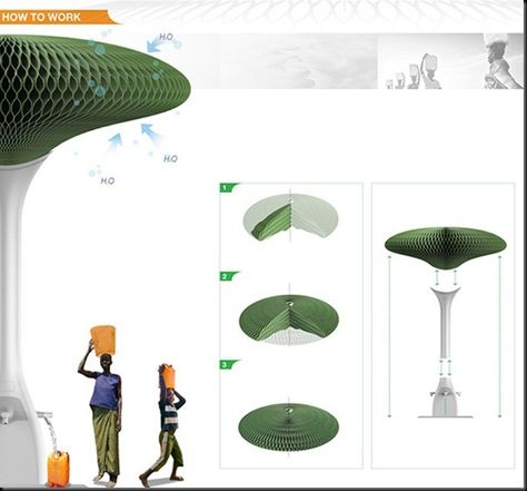 Biomimicry Design, Hope Tree, Water Collector, Tropical Desert, Future Technology Concept, Water From Air, Stall Design, Natural Farming, Rain Collection