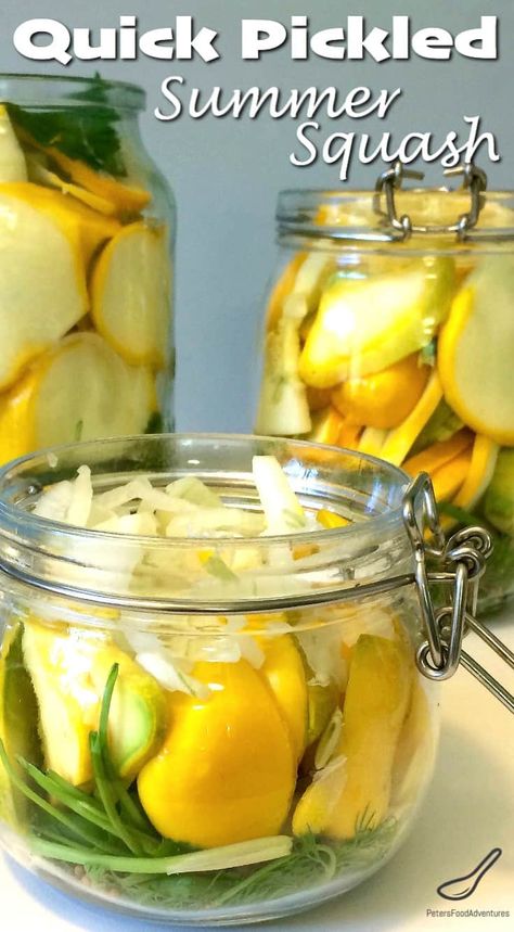 Summer Pickled Squash - Peter's Food Adventures Soviet Recipes, Pickled Squash Recipe, Pickled Squash, Recipe For Squash, Squash Pickles, Pickled Recipes, Eating Seasonally, Pattypan Squash, Fermented Drinks