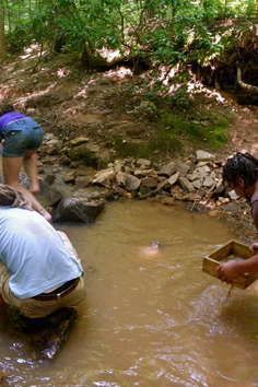 The Emerald Hollow Mine is the only emerald mine in the United States open to the public for prospecting. Nestled snugly in the foothills of the beautiful Brushy Mountains, this North Carolina Emerald mine is located in the small town of Hiddenite, North Carolina. This locality is recognized as one of the most unique and interesting geological locations on the North American continent. Host to more than sixty-three different types of naturally occurring gems and minerals, a virtual treasure ... Gem Hunt, Road Trip Places, Fossil Hunting, Rock Hunting, Nc Mountains, Gem Mining, North Carolina Mountains, North Carolina Homes, On The Road Again