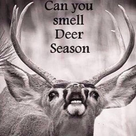 Deer season quote Deer Season Quotes, Hunting Season Quotes, Deer Season Humor, Deer Hunting Season, Hunting Signs, Hunting Quotes, Hunting Lifestyle, Deer Camp, Season Quotes