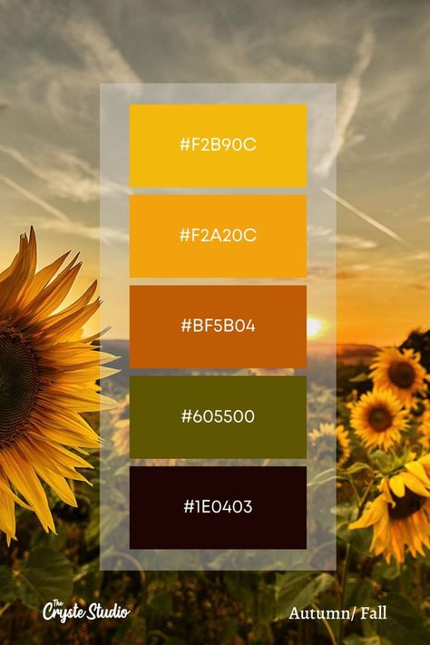 Autumn Color Palette, Fall Wedding Color Schemes, Graphic Shapes Design, Create Color Palette, Fall Palette, Hex Color Palette, Palette Design, Business Colors, Color Schemes Colour Palettes