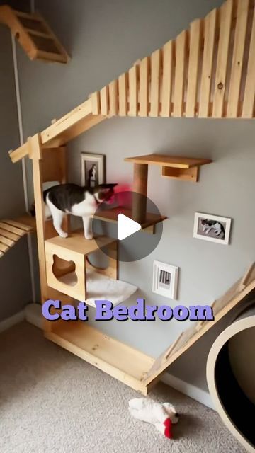 @heyjajadesigns on Instagram: "Cat Bedroom #amazon #amazonfinds #cat #catsofinstagram #diy #bedroommakeover" Cat Bedroom Ideas, Cat Room Ideas Small Spaces, Cat Playroom, Room Ideas Small Spaces, Cat Room Ideas, Cat Bedroom, Cat Houses, Cat Things, Cat Ideas