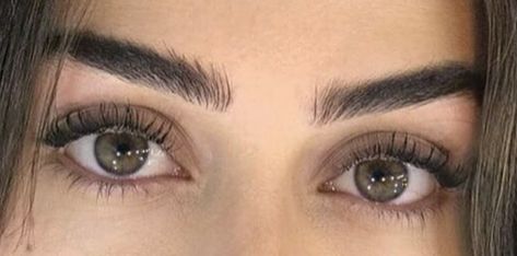 Brown Eyes Aesthetic, Eyes Aesthetic, Beautiful Eyes Color, Big Lashes, Almond Eyes, Big Brown Eyes, Makeup Accesories, Vision Eye, Eye Photography