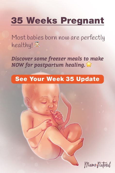 See what's up with baby, mama, and more when you're 35 weeks pregnant. The ultimate week by week natural pregnancy guide! Learn everything from pregnancy symptoms, development, learn to track your baby's growth and natural remedies for a healthy pregnancy. Click to find a complete timeline from the first trimester, second trimester, third trimester with tips for mom and baby to prepare them for a natural birth.   #naturalpregnancy #pregnancytips #naturalbirth 34 Week Pregnancy, Pregnancy Symptoms By Week, Baby Development In Womb, Pregnant Symptoms, Stages Of Baby Development, Baby Development Milestones, Pregnant Life, 35 Weeks Pregnant, Baby Development Activities